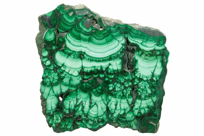 Flowery Polished Malachite Slab - D R Congo #379771